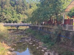 -广州白江湖森林公园