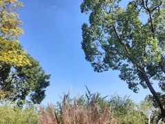 -梁鸿国家湿地公园