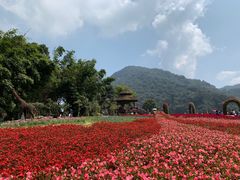 -广州市石门国家森林公园