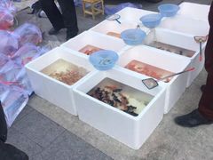 -华声天桥民俗文化园