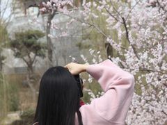 -迎泽公园