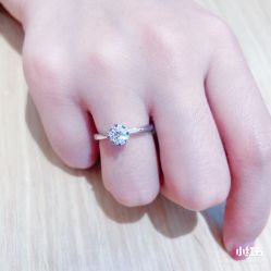 -钻石小鸟钻戒婚戒定制(石路店)