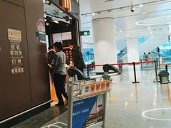 -麦当劳(北京大兴机场二层国内到达(安检外)店)