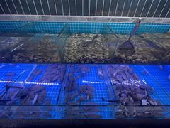 -海韵之星邮轮水会(明发商业广场店)