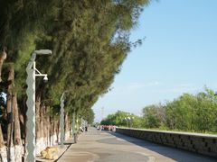 -宝安西湾红树林湿地公园