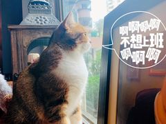 -咖法森林·咖啡  酒吧(天河店)