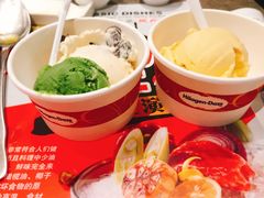 哈根达斯单球-大渔铁板烧(花园道店)