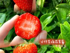 -仟吉KenGee(江南万达店)