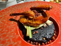 -南堂馆·新川菜(春熙路店)