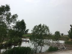 -白洋淀景区