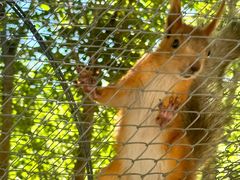 -水上乐园·欢乐世界