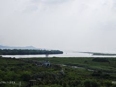 -福田红树林生态公园