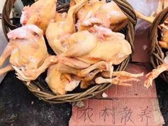 -蒲河大集