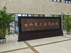 -北京市垂杨柳医院