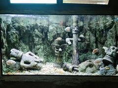 -北海海底世界