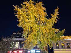 -天正河鲀·河豚亭(大连店)