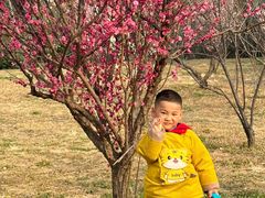 -蜀冈西峰生态公园