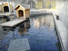 -北京园博大酒店