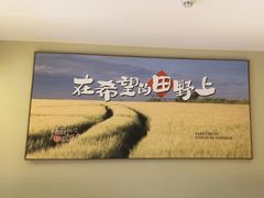 -杨厨的田园饭店(长城路店)