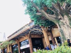 -杭州开元森泊度假乐园