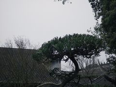 -宝光寺