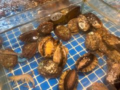 -天成·潮州牛肉脆肉鱼生蚝自助火锅