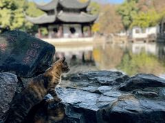 -西园戒幢律寺