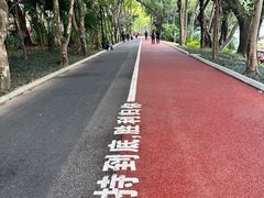-南宁南湖公园