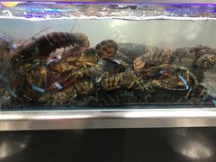 -盒马鲜生(大成店)