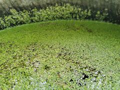 -驿舍·民國老营房院子私房菜(科学会堂店)