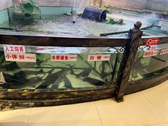 -楚鱼王·河鲜·湖北菜(华农店)