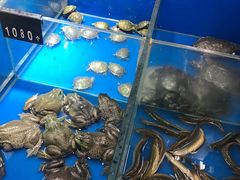 -卜蜂莲花(杨高南路店)