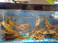 水产区-鹿客臻鲜海鲜自助餐厅(永旺店)