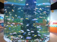-长春中泰海洋世界