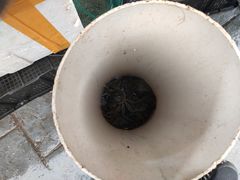 -青石桥市场北1-27号