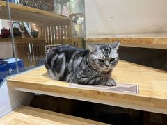 -南枝小馆(银鱼巷店)