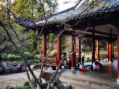 -杭州植物园
