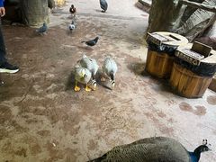 -长鹿旅游休博园