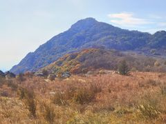 -白草畔自然风景区