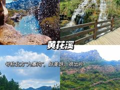 -十笏园博物馆