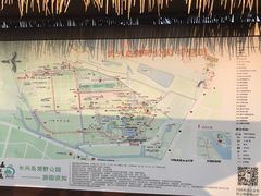 -上海长兴岛郊野公园