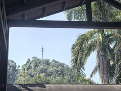 -野象谷景区