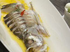 -颂福楼·南京菜(定淮门店)