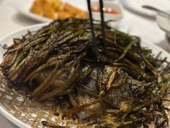 -老吉士酒家(天平路店)