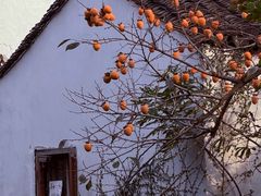 -苏州市立医院本部母子保健中心