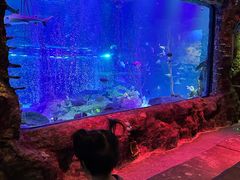 -沈阳海洋探索中心