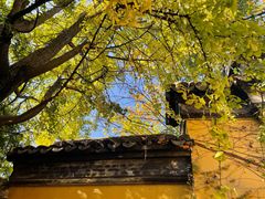 -西园戒幢律寺