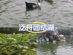 -团结湖公园