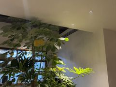-自如ZSPACE四合院艺术餐厅