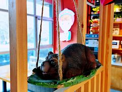 -苗小坛酸汤鱼(酒仙桥店)